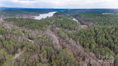 Waterfront on 12 plus acres. Lake living with plenty of space - photo 7