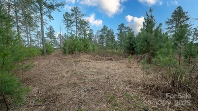 Waterfront on 12 plus acres. Lake living with plenty of space - photo 9