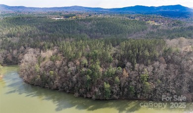 Waterfront on 12 plus acres. Lake living with plenty of space - photo 10