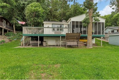 Lake Home For Sale in Munson Twp, Minnesota