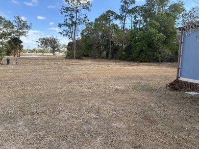 133 Las Palmas Blvd 133 - photo 16