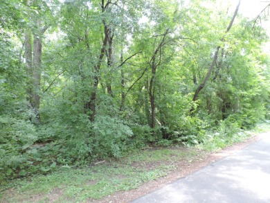 (private lake, pond, creek) Lot For Sale in Elkhorn Wisconsin