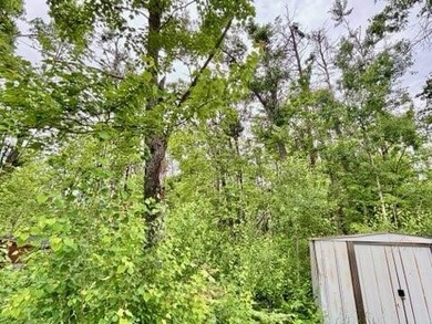 VACANT LOT WITH LAKE ACCESS. Don't miss out on this great lot - photo 9