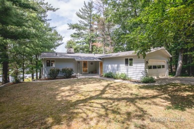 Lake Home For Sale in Sand Lake, Michigan