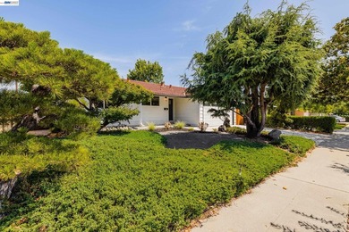 Exceptional single-story Cambrian home offering 4 bedrooms, 2 - photo 5