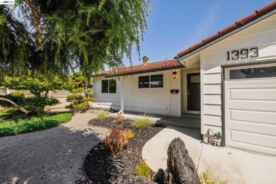 Exceptional single-story Cambrian home offering 4 bedrooms, 2 - photo 6