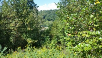 Seasonal Lake View Lot in Gated Community - Lake Lot For Sale in La Follette, Tennessee
