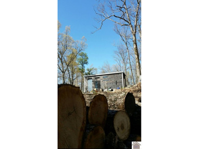 Charming tiny home nestled near picturesque Kentucky Lake! This - photo 18