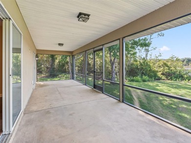 Discover your own private paradise on Bear Lake in Ocklawaha - photo 32