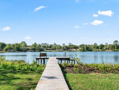 Discover your own private paradise on Bear Lake in Ocklawaha - photo 36