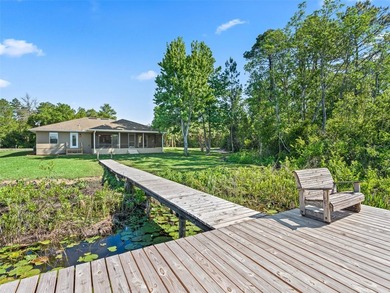 Discover your own private paradise on Bear Lake in Ocklawaha - photo 40