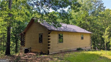 Lake Home For Sale in Ellijay, Georgia