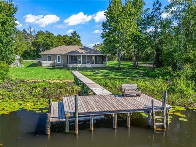 Discover your own private paradise on Bear Lake in Ocklawaha - photo 41