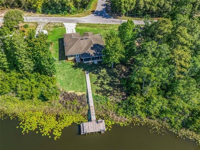 Discover your own private paradise on Bear Lake in Ocklawaha - photo 42