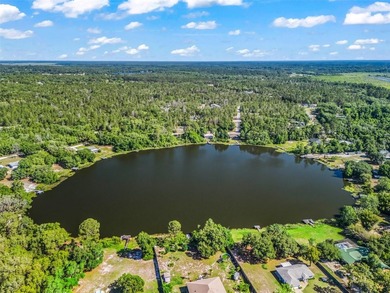 Discover your own private paradise on Bear Lake in Ocklawaha - photo 46