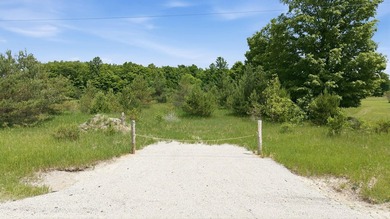 Prime 10-Acre Emmet County Lot with Larks Lake Backyard! Build - photo 3