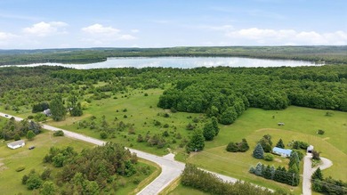 Prime 10-Acre Emmet County Lot with Larks Lake Backyard! Build - photo 5