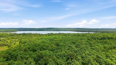 Prime 10-Acre Emmet County Lot with Larks Lake Backyard! Build - photo 7