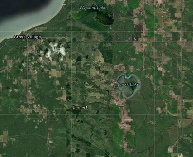 Prime 10-Acre Emmet County Lot with Larks Lake Backyard! Build - photo 9