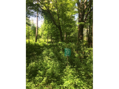 Lake Lot For Sale in Dowagiac, Michigan