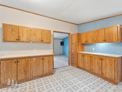 Welcome to your family's next chapter in the desirable Moon Lake - photo 8