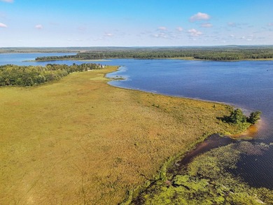 Beautiful 47-acre parcel with over 1,300 feet of lakefront! - photo 2