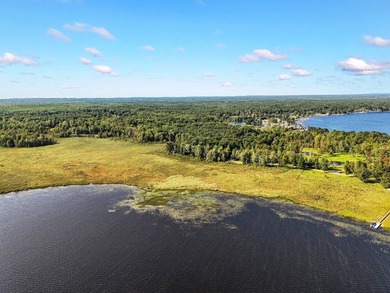 Beautiful 47-acre parcel with over 1,300 feet of lakefront! - photo 4