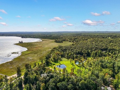 Beautiful 47-acre parcel with over 1,300 feet of lakefront! - photo 5