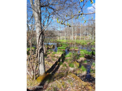  Lot For Sale in Milford Pennsylvania