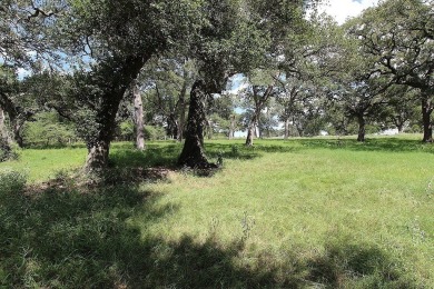 Lake Acreage For Sale in Schulenburg, Texas