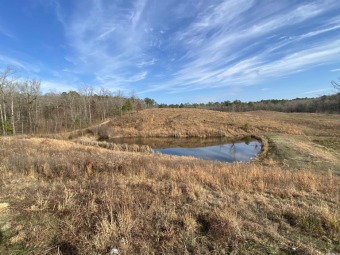 Lake Ouachita Acreage For Sale in Mount Ida Arkansas