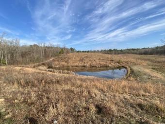 Lake Acreage Off Market in Mount Ida, Arkansas