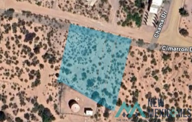 Lake Lot For Sale in Elephant Butte, New Mexico