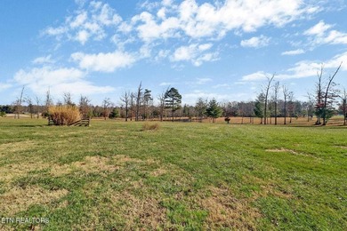 Lake Acreage For Sale in Deer Lodge, Tennessee