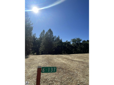 Lake Lot For Sale in Groveland, California