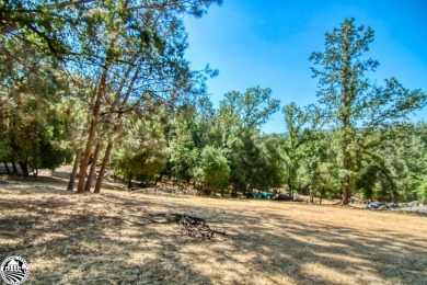 Pine Mountain Lake Lot For Sale in Groveland California