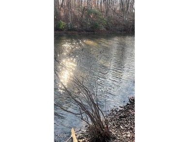10.75 ACRES WITH ACCESS TO MAYO LAKE AND NO RESTRICTIVE - photo 2