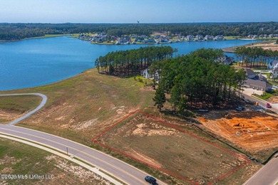 Great opportunity to craft your dream home in Reunion! Corner - photo 3