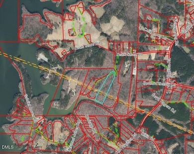 10.75 ACRES WITH ACCESS TO MAYO LAKE AND NO RESTRICTIVE - photo 3