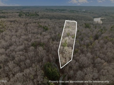 10.75 ACRES WITH ACCESS TO MAYO LAKE AND NO RESTRICTIVE - photo 4