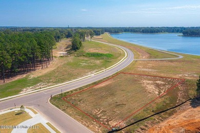 Great opportunity to craft your dream home in Reunion! Corner - photo 6