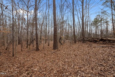 10.75 ACRES WITH ACCESS TO MAYO LAKE AND NO RESTRICTIVE - photo 6