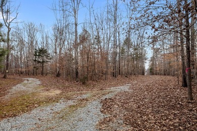 10.75 ACRES WITH ACCESS TO MAYO LAKE AND NO RESTRICTIVE - photo 7