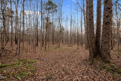 10.75 ACRES WITH ACCESS TO MAYO LAKE AND NO RESTRICTIVE - photo 8