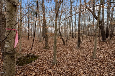10.75 ACRES WITH ACCESS TO MAYO LAKE AND NO RESTRICTIVE - photo 9