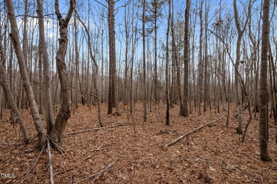 10.75 ACRES WITH ACCESS TO MAYO LAKE AND NO RESTRICTIVE - photo 10
