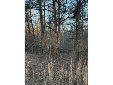 Lake Acreage For Sale in Monterey, Tennessee