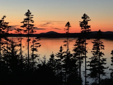 NEW 4,400+/- square foot home in brand-new premier Peninsula - photo 9