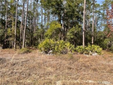 Lake Lot For Sale in Dunnellon, Florida