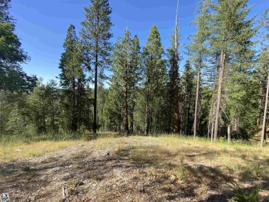 Pine Mountain Lake Lot For Sale in Groveland California